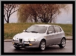 Wierzba, Alfa Romeo 147